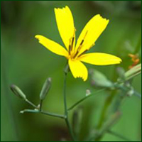 f:id:non704:20210825215735j:plain