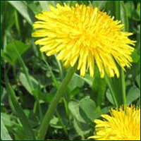 f:id:non704:20210825215749j:plain