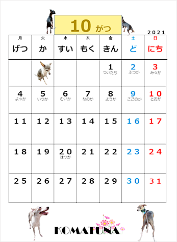 f:id:non704:20210923185814j:plain