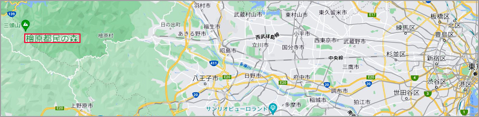 f:id:non704:20211020194418j:plain
