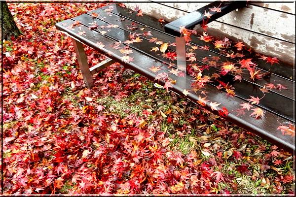 f:id:non704:20211208163613j:plain