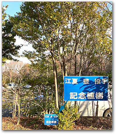 f:id:non704:20211216203903p:plain