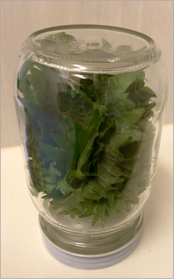 f:id:non704:20211227194417j:plain