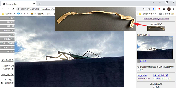 f:id:non704:20220105112100p:plain