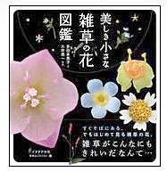 f:id:non704:20220212185207p:plain
