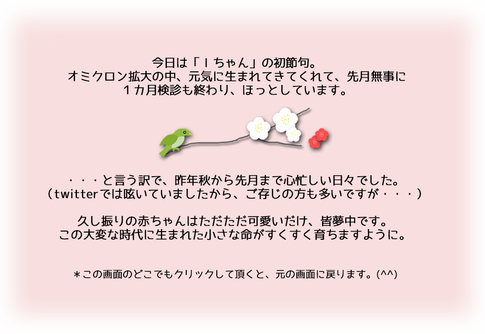 f:id:non704:20220226213800p:plain