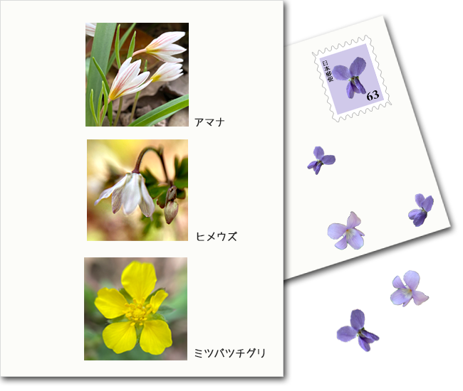 f:id:non704:20220321161811p:plain