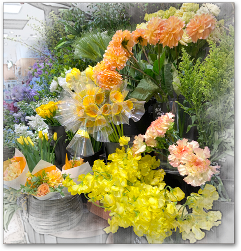 f:id:non704:20220321163609j:plain