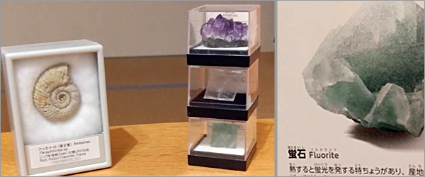 f:id:non704:20220322194630p:plain