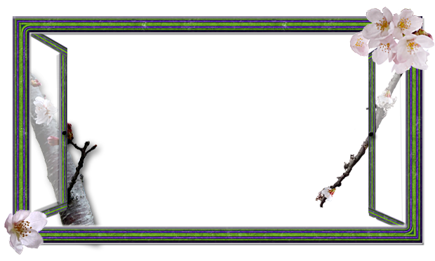 f:id:non704:20220327213326p:plain