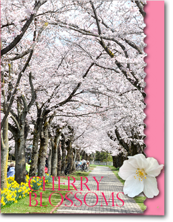 f:id:non704:20220402204601p:plain