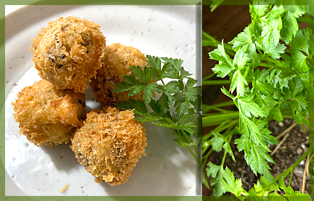 f:id:non704:20220406160805p:plain