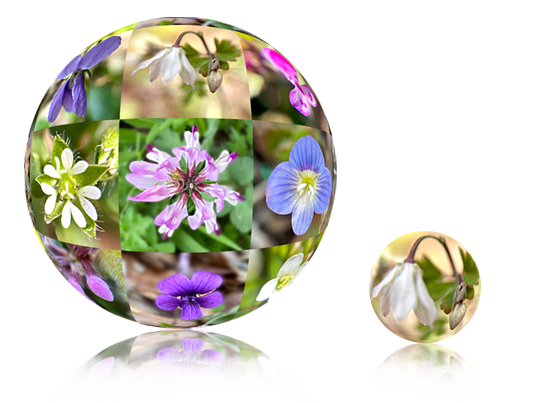f:id:non704:20220411014041p:plain