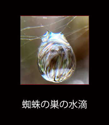 f:id:non704:20210905143454j:plain