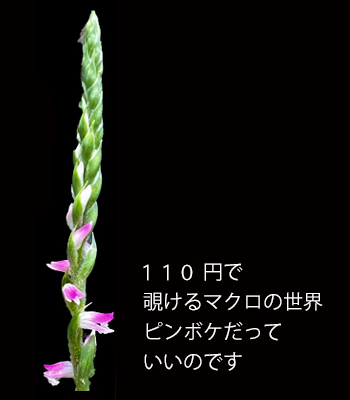 f:id:non704:20210909111951g:plain