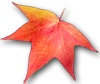 f:id:non704:20220208185809p:plain