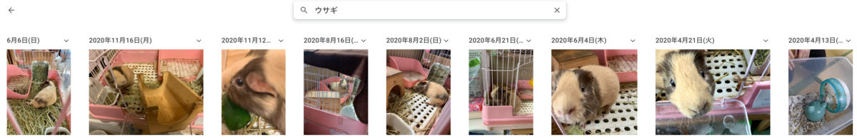 f:id:non_117:20210620162517p:plain