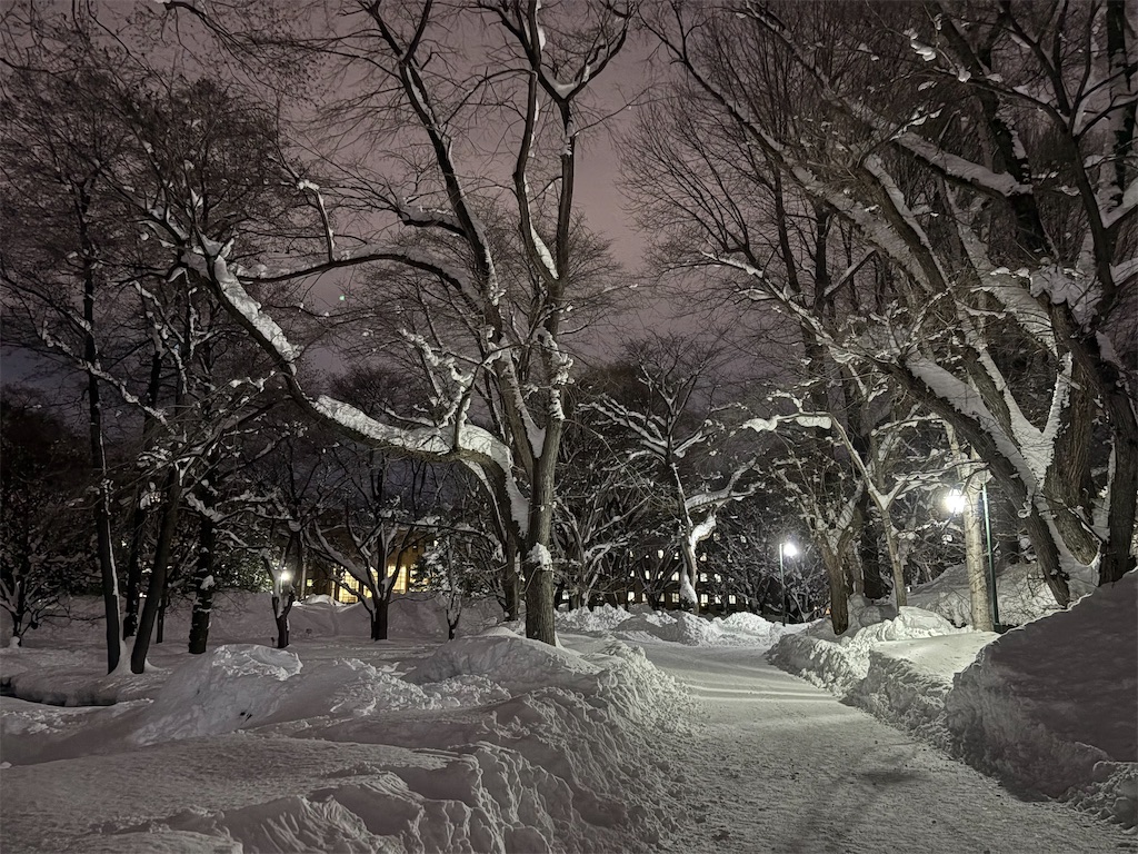 f:id:non_moo:20260127223543j:image