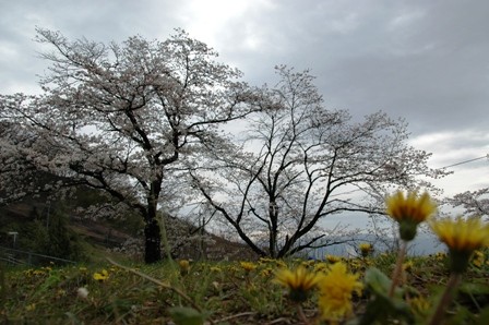 f:id:nonaka12:20100331125710j:image f:id:nonaka12:20100331125710j:image