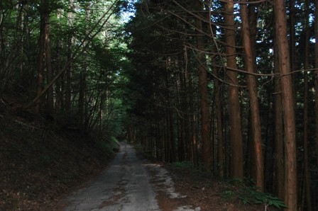 f:id:nonaka12:20110716150600j:image:w360 f:id:nonaka12:20110716150600j:image:w360