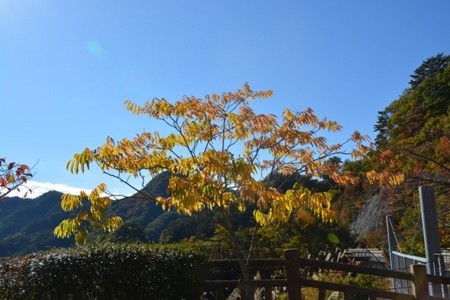f:id:nonaka12:20151028140151j:image f:id:nonaka12:20151028140151j:image