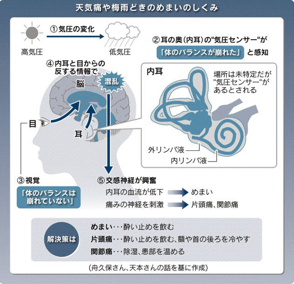野中邦子 野中邦子