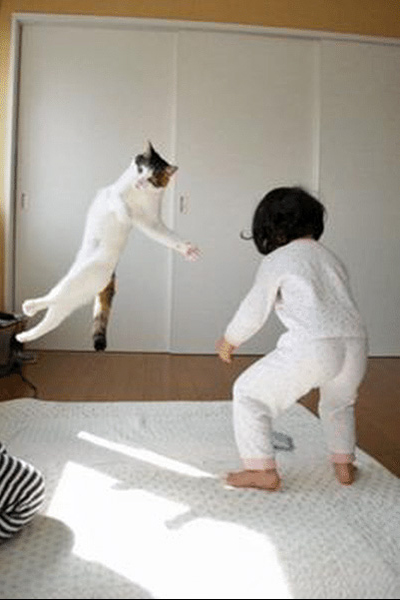 野中邦子 野中邦子