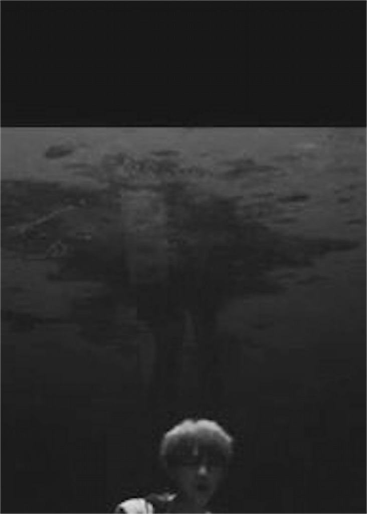 f:id:noname1426:20160909135737j:image