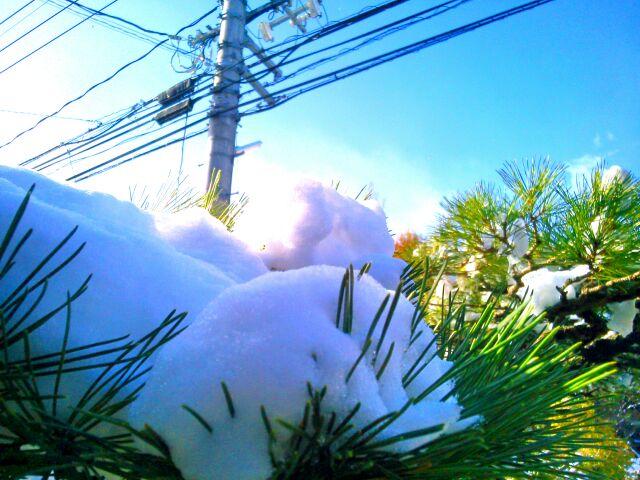 f:id:nonamed:20141228095531j:plain