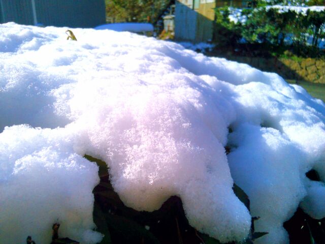 f:id:nonamed:20141228095610j:plain