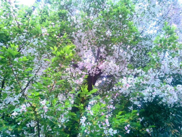 f:id:nonamed:20150404081843j:plain