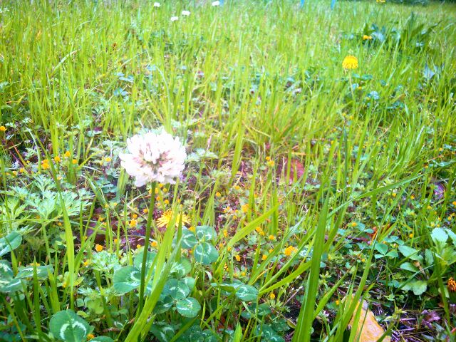 f:id:nonamed:20150405091026j:plain