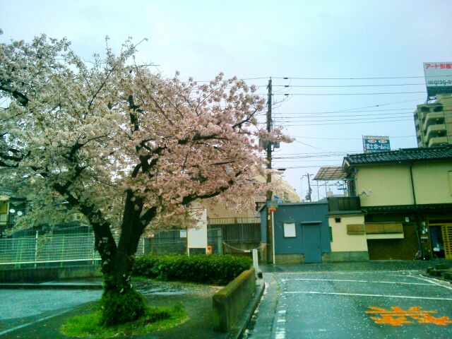 f:id:nonamed:20150405091100j:plain