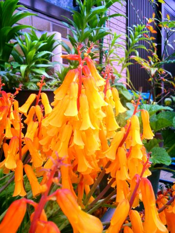 f:id:nonamed:20150405092037j:plain