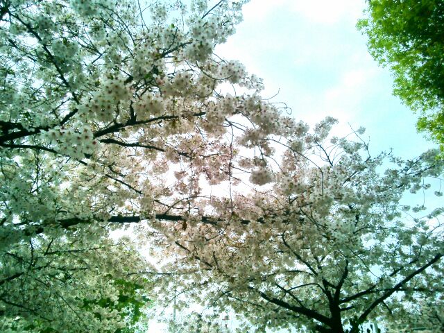 f:id:nonamed:20150405092230j:plain