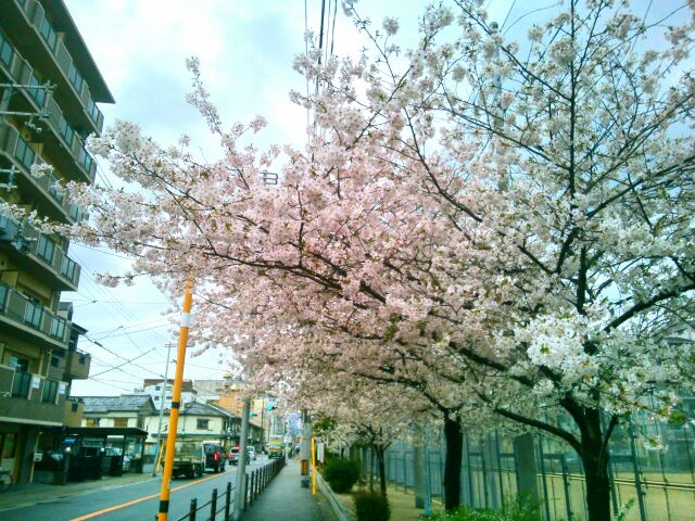 f:id:nonamed:20150405092305j:plain