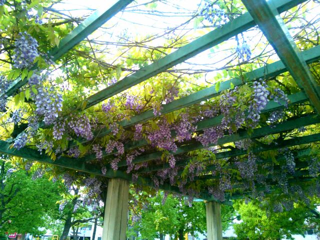 f:id:nonamed:20150423180057j:plain