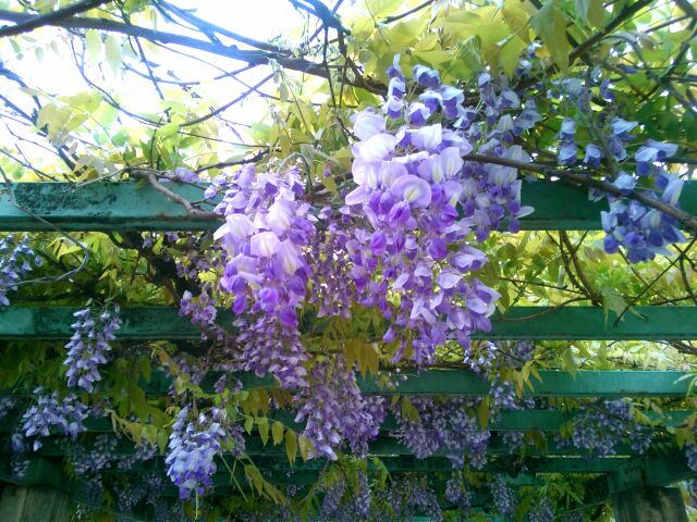 f:id:nonamed:20150423180139j:plain