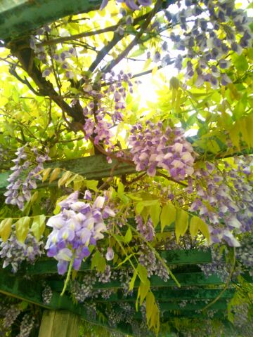 f:id:nonamed:20150423180148j:plain