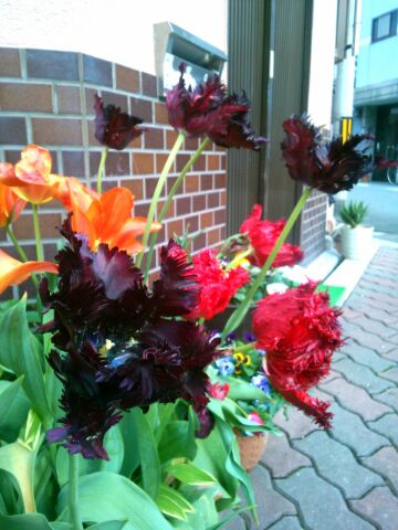 f:id:nonamed:20150423180628j:plain