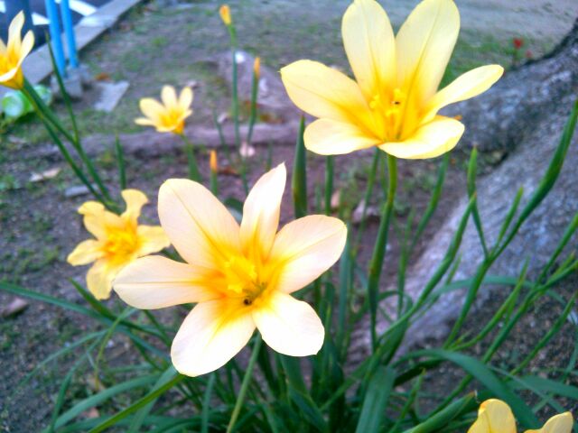 f:id:nonamed:20150423181857j:plain
