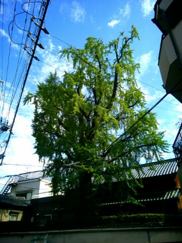 f:id:nonamed:20150426101538j:plain