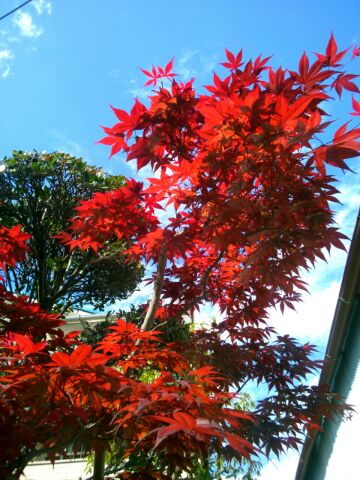 f:id:nonamed:20150426102410j:plain