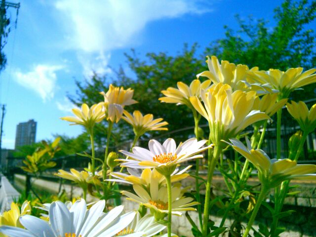 f:id:nonamed:20150426105039j:plain