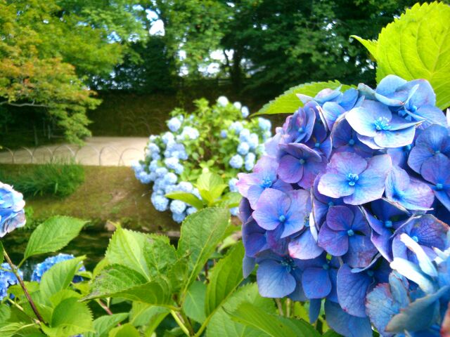 f:id:nonamed:20150701164535j:plain f:id:nonamed:20150701164535j:plain