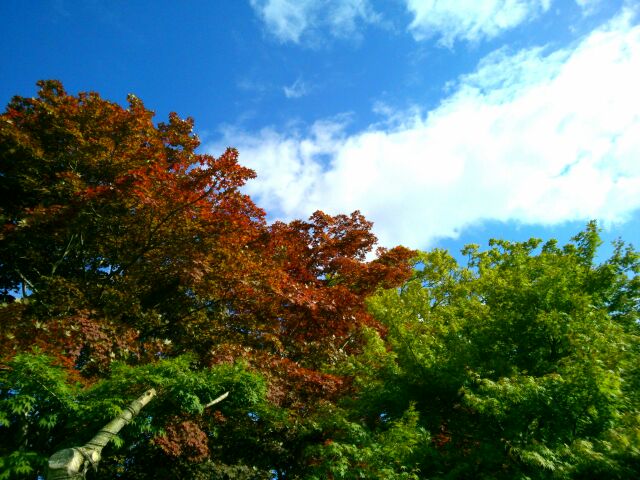 f:id:nonamed:20150701165859j:plain f:id:nonamed:20150701165859j:plain