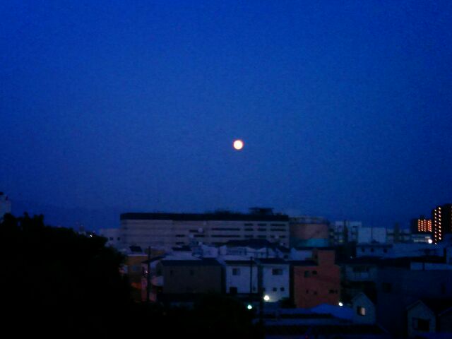 f:id:nonamed:20150801110648j:plain