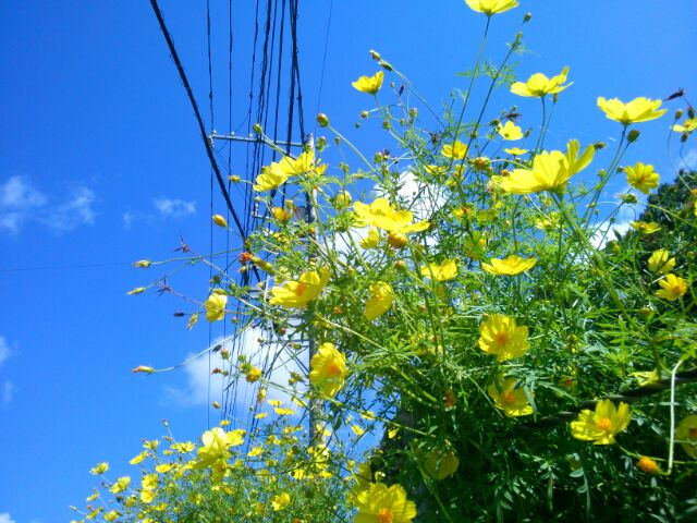 f:id:nonamed:20150914212338j:plain f:id:nonamed:20150914212338j:plain