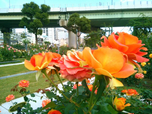 f:id:nonamed:20151028145627j:plain