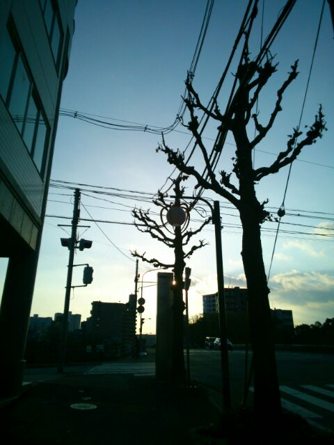 f:id:nonamed:20160103005409j:plain